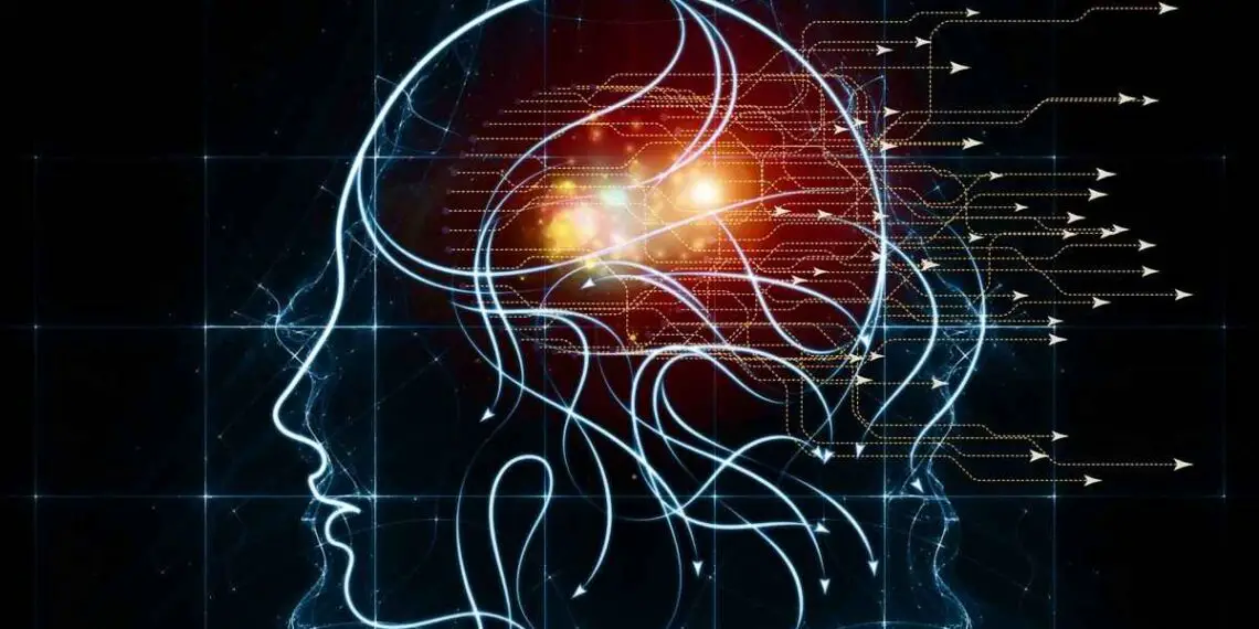 BL-OG : la technique non invasive qui pourrait transformer la neurologie