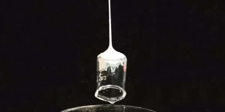 Incroyable : cette nouvelle fibre peut soulever 80 fois son propre poids