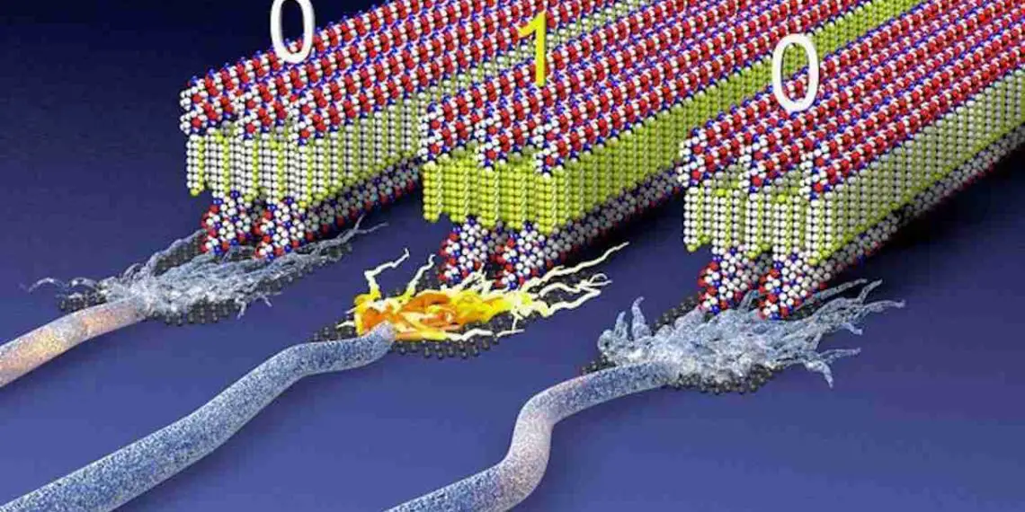 Des matériaux souples électroactifs pour une électronique plus écologique