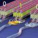 Des matériaux souples électroactifs pour une électronique plus écologique