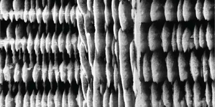 Le futur de l'électronique se cache dans une imprimante 3D suédoise