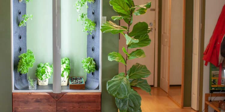 Jardins verticaux : l'envers du décor énergétique dévoilé par une étude