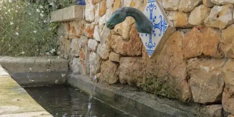 Conseils pour bien intégrer les auges en pierre ancienne dans votre jardin