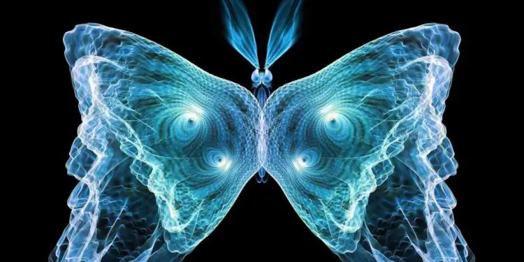 Des papillons à 2 sens inspirent une IA révolutionnaire à faible consommation