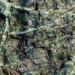 Des microbes extrêmes : clé de l'origine de la vie et des biocarburants ?