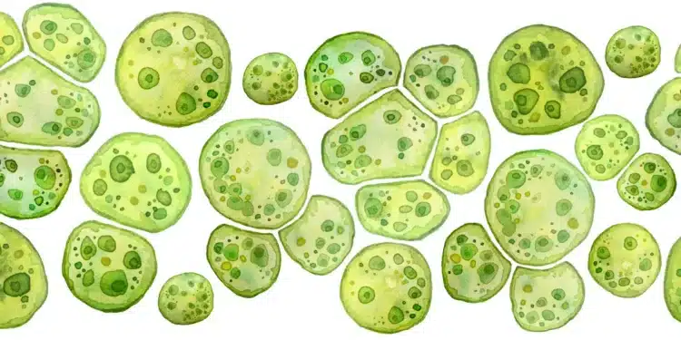 Quand les façades d'immeubles deviennent des centrales énergétiques