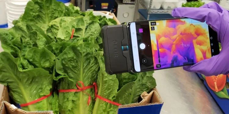 L'imagerie thermique peut aider les fruits et légumes à rester frais plus longtemps