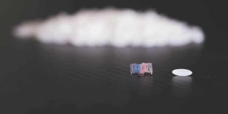 Une équipe singapourienne crée des robots microscopiques pour cibler les médicaments