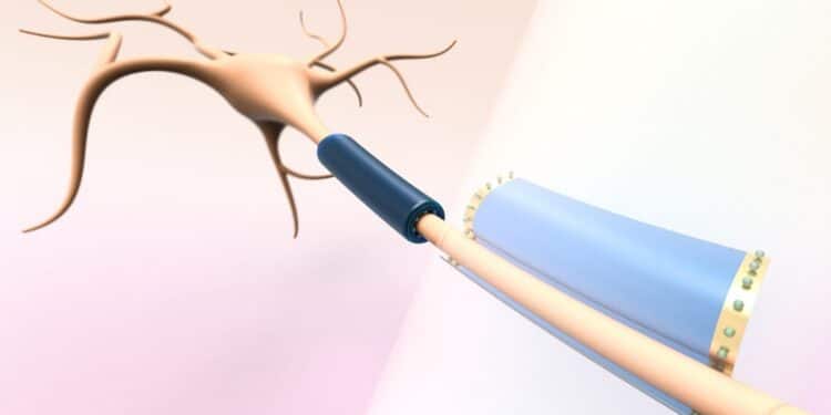 Le MIT crée des dispositifs intelligents qui s'enroulent autour des cellules nerveuses