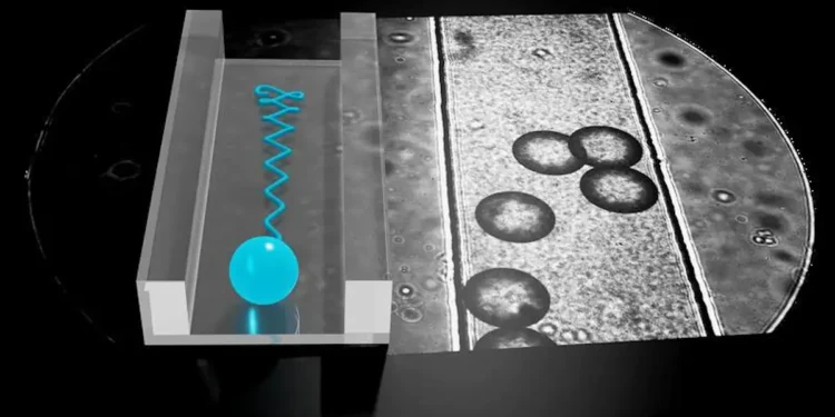 Micro-nageurs artificiels : une découverte qui bouleverse le transport moléculaire