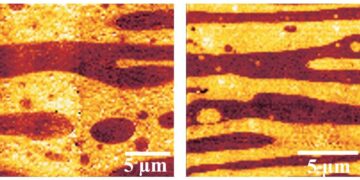 Les biomatériaux thermoplastiques atteignent une résistance sans précédent