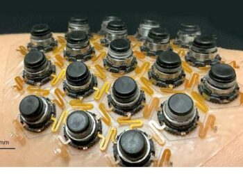 Des chercheurs créent un système tactile qui remplace la vision par le toucher