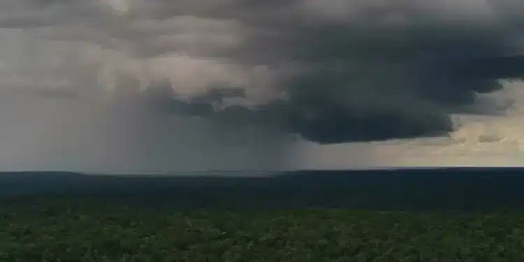 Rafales de nanoparticules au-dessus de la forêt amazonienne