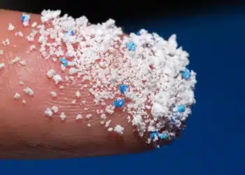 Les microplastiques de moins de 5 mm transformés en carburant propre
