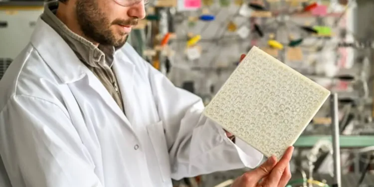 Une découverte majeure pour capturer les polluants toxiques