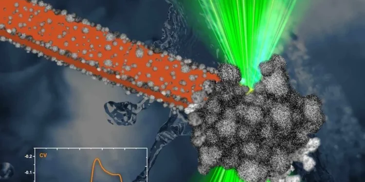 Des chercheurs observent la naissance de nanoparticules grâce à une technique innovante