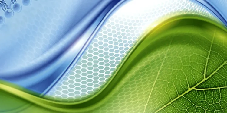 Des chercheurs optimisent la photosynthèse pour produire l'éthanol de demain