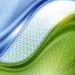 Des chercheurs optimisent la photosynthèse pour produire l'éthanol de demain