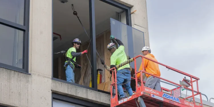 À Binghamton, une université pionnière dans la protection des oiseaux contre les vitres