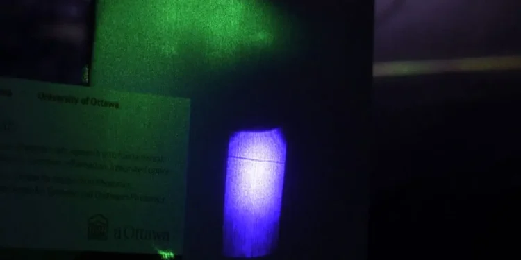 Une ombre projetée par la lumière : l'exploit qui remet en question nos certitudes