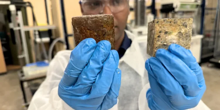 Une innovation australienne promet de réduire de 30% les bouchons dans les égouts