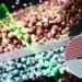 Les chercheurs du KIST dévoilent des perspectives nanoscopiques sur les baisses de performance