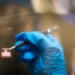 La recherche sur la pérovskite améliore l'efficacité des cellules solaires et la durée de vie des produits