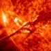 Des cernes d'arbres révèlent une tempête solaire dévastatrice vieille de 2700 ans