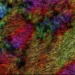Les finalistes du concours d'images NanoInFocus