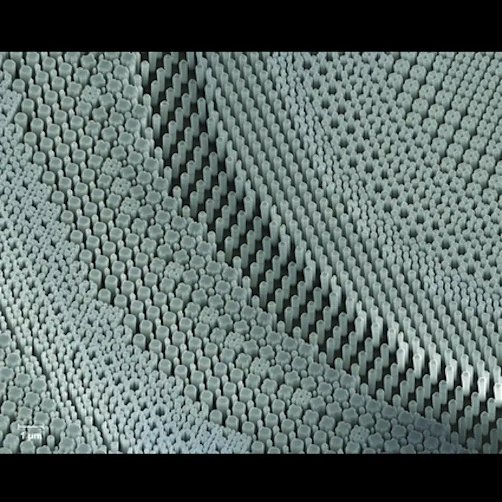 Le labyrinthe de lumière : Le jardin des nanosculptures
