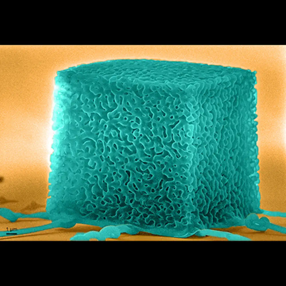 Nitrure de bore hexagonal nano-architecturé en trois dimensions (lauréat du premier prix)
