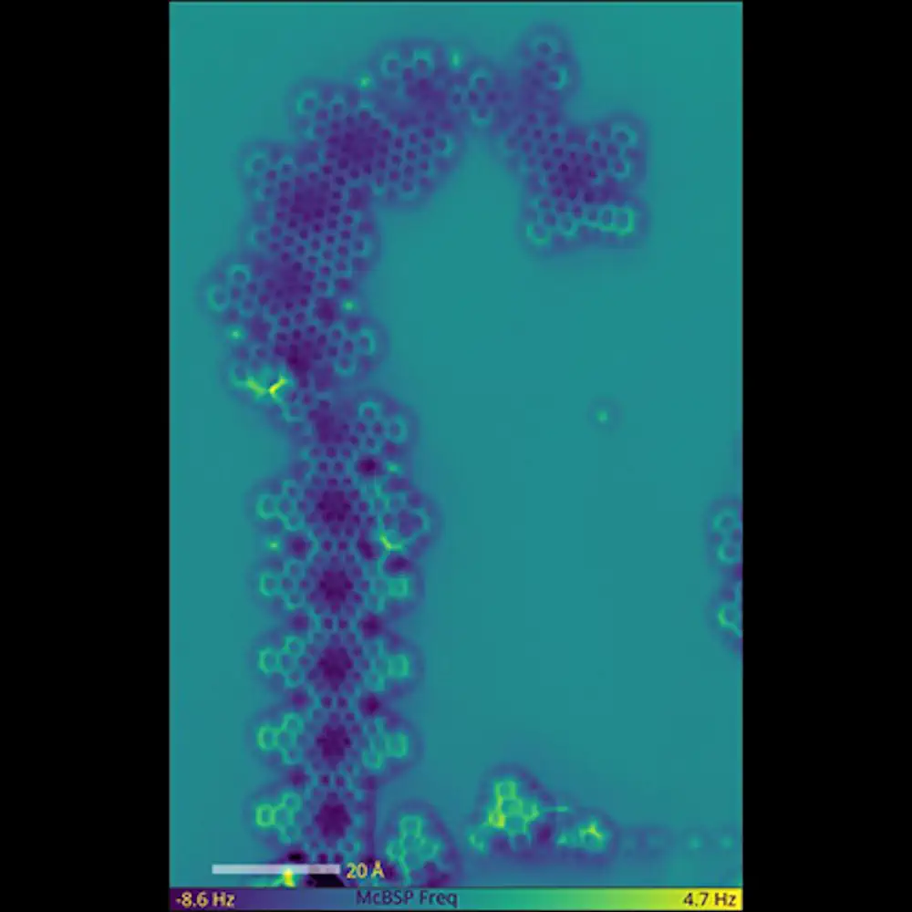 The Seahorse