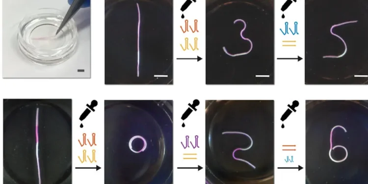 Des matériaux microscopiques changent de forme sur commande grâce à l'ADN