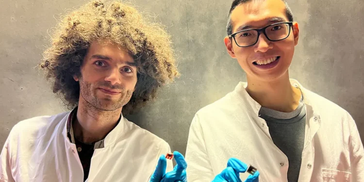 Record historique : 25,7% d'efficacité pour la nouvelle cellule solaire hybride