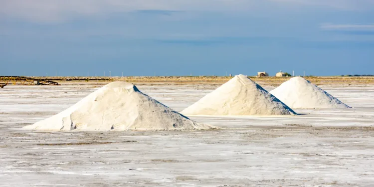 La revanche des saumures : le déchet d'hier devient le trésor de demain