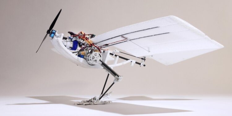 Ce drone unique au monde combine la marche et le vol grâce à des pattes d'oiseaux robotisées