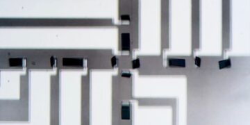 Des micromachines synchronisées ouvrent de nouvelles perspectives en robotique