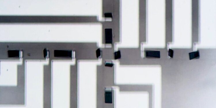 Des micromachines synchronisées ouvrent de nouvelles perspectives en robotique