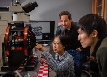 Des chercheurs de Cornell créent le plus petit robot marcheur au monde