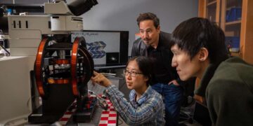 Des chercheurs de Cornell créent le plus petit robot marcheur au monde