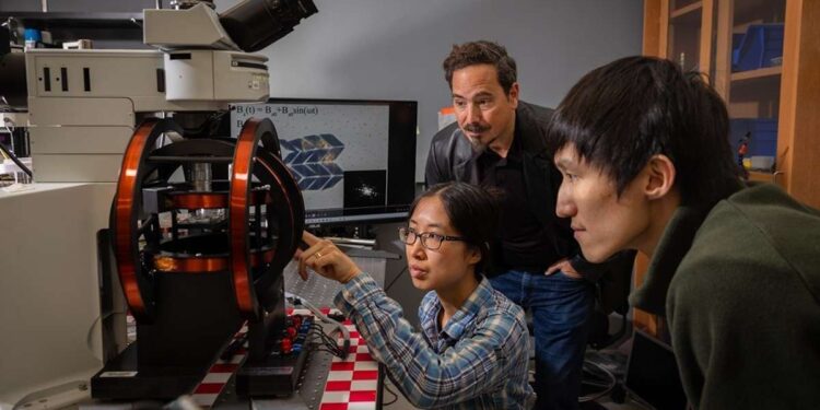 Des chercheurs de Cornell créent le plus petit robot marcheur au monde