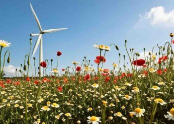 Énergies renouvelables : quand la météo fine guide l'implantation des installations