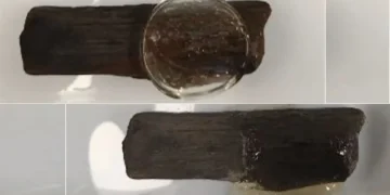 Un nouvel hydrogel pourrait préserver le bois gorgé d'eau des épaves de bateaux