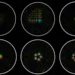 Une fibre optique révèle des structures minuscules d'un milliardième de mètre
