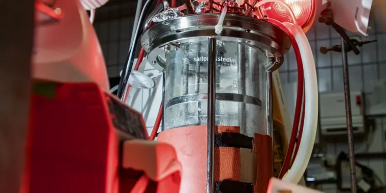 Les PHA, futurs champions des plastiques verts : un projet ambitieux se concrétise