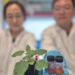 Des aiguilles de soie high-tech sonnent l'alarme quand vos plantes manquent d'eau