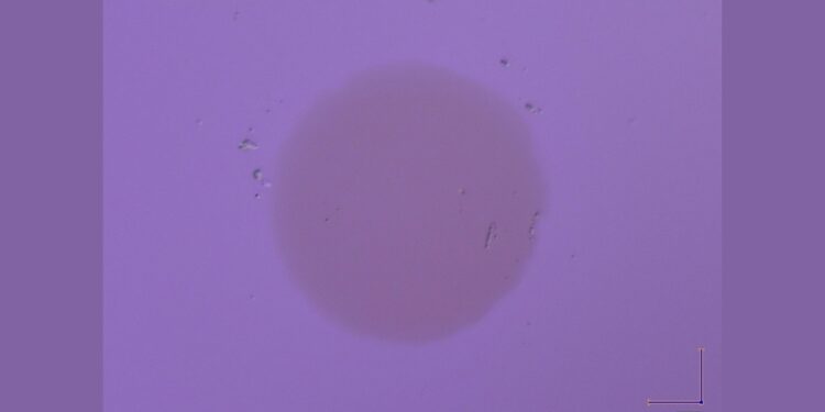 Un film de thorium pourrait remplacer les cristaux dans les horloges atomiques