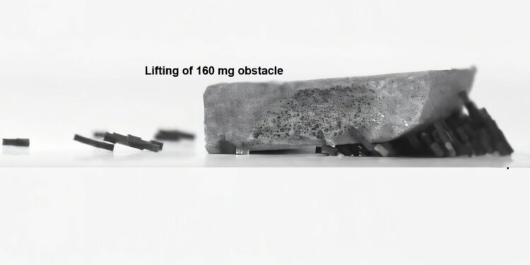 Une armée de robots miniatures pourrait bientôt déboucher nos artères encombrées