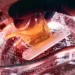 L'intelligence artificielle s'invite dans nos poubelles pour sauver le recyclage plastique