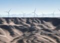 NEOM : quand l'intelligence artificielle optimise la production d'énergie verte
